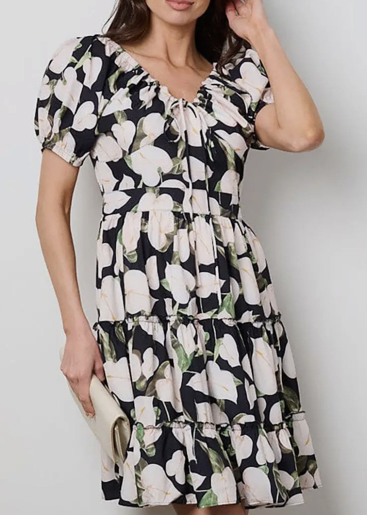 Delta Floral V-Neck Tiered Mini Dress