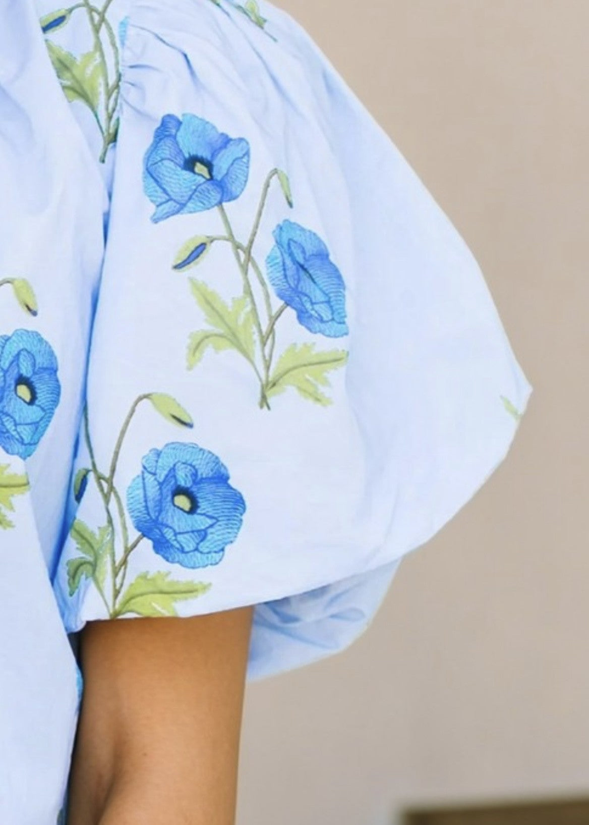 Rhodes Floral Tie-Vneck Puff Sleeve Top