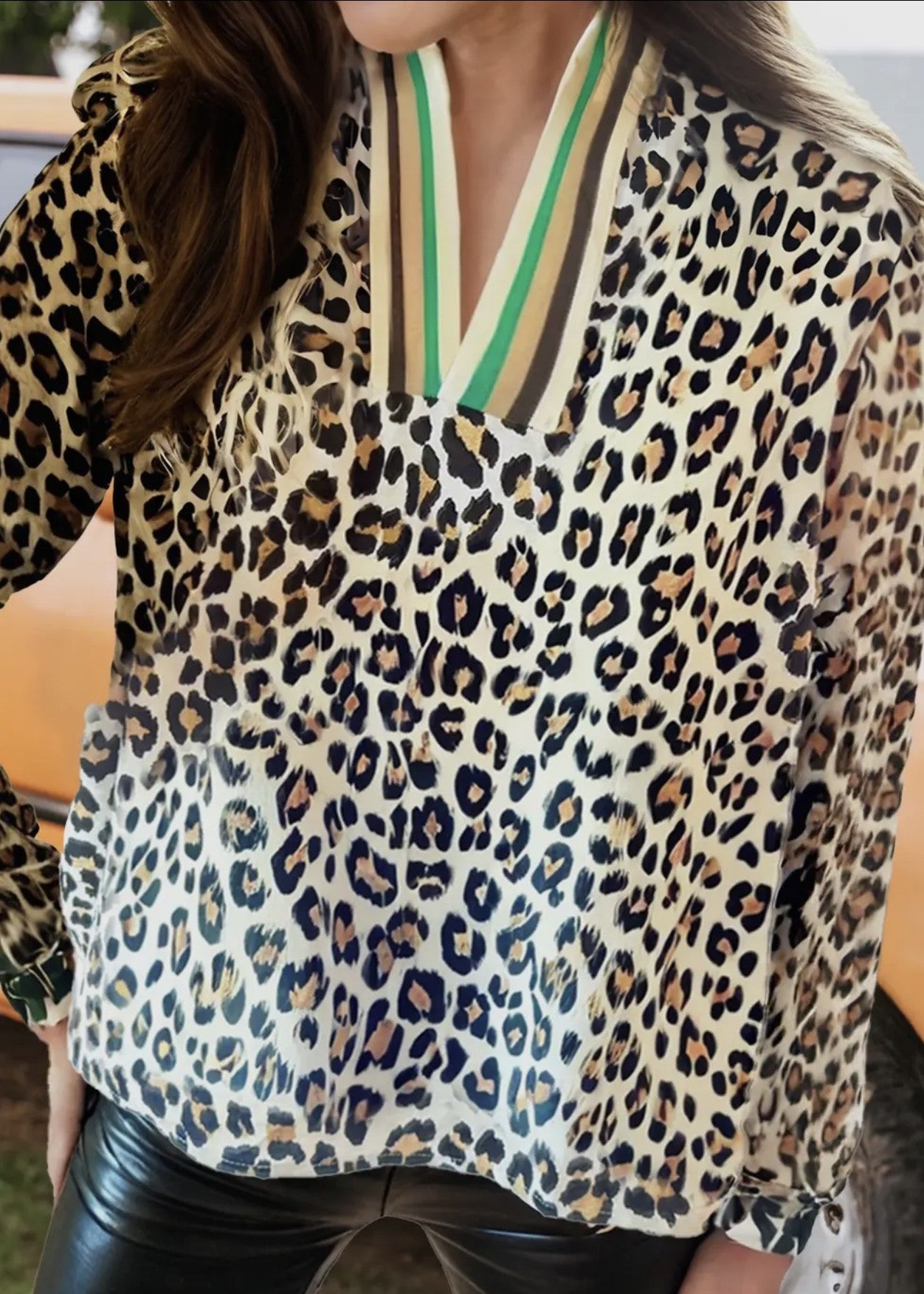 Ali Striped V-Neck Leopard L/S Blouse