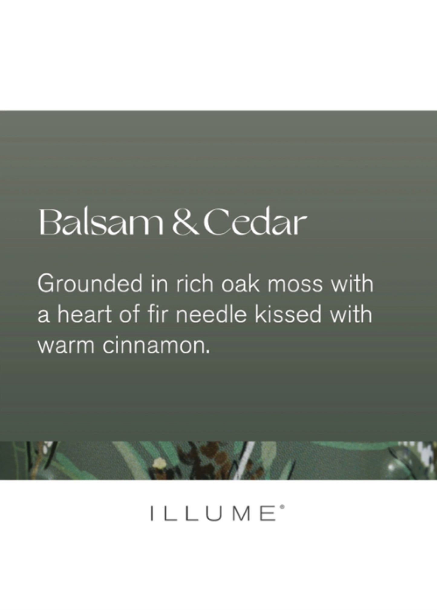 Balsam & Cedar Diffuser