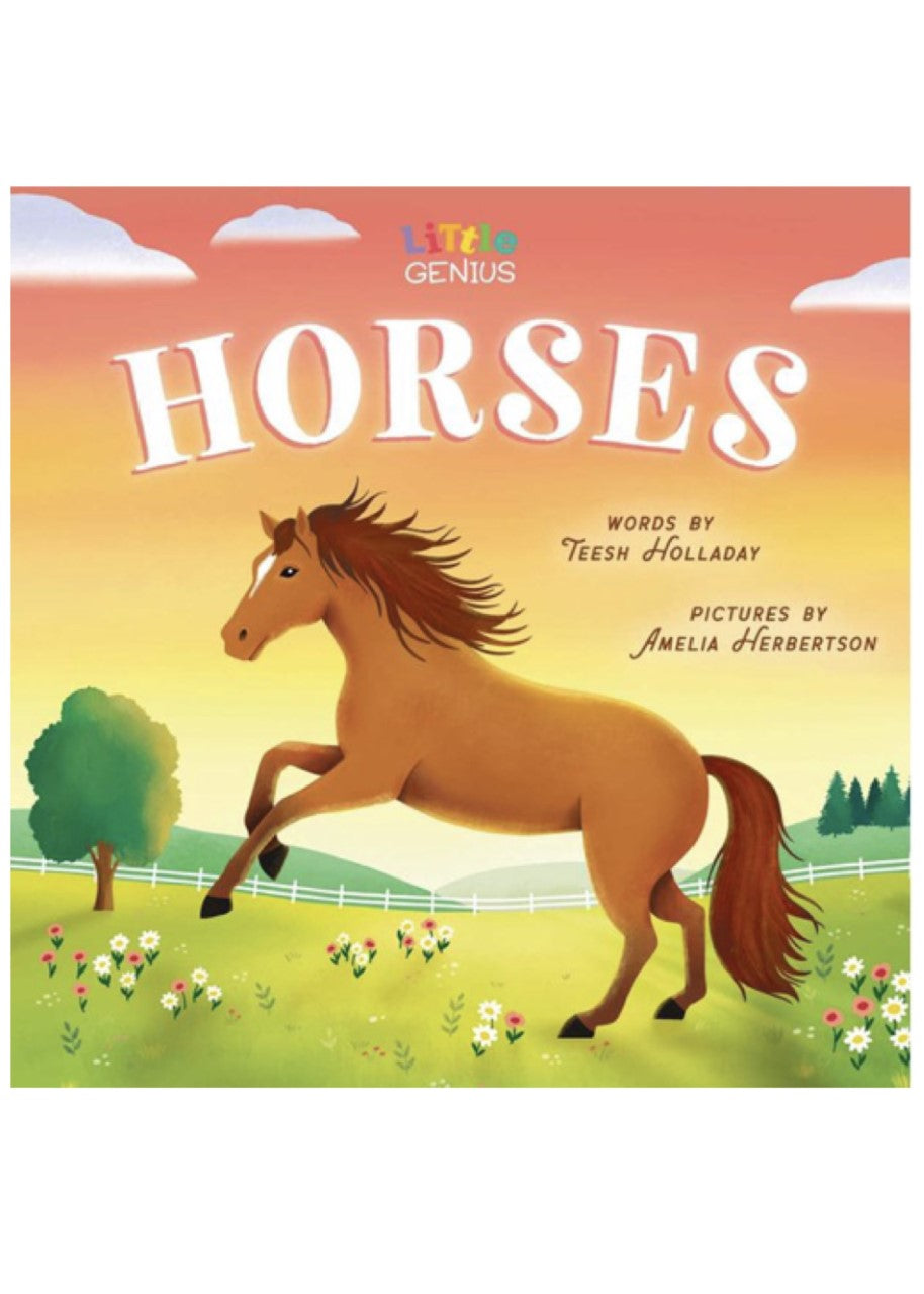 Little Genius Horses